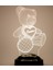 3 Boyutlu Kişiye Özel Konsept Hediye 3D Ayı Teddy LED Lamba 2