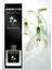 Snowdrop Reed Diffuser 100 ml 1