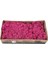Renkli Yosun - Pembe 1