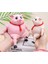 Deformasyon Dekompresyon Domuz Dekompresyon Tutam Oyuncak Pembe Domuz Oyuncak Öfke Nöbeti Dekompresyon Pembe Domuz - Büyük Boy 15*15CM (Yurt Dışından) 5