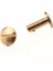 10X Ark Katı Br Saplamalı Vida Çivi Vida Geri Leatr Perçin Kemer 12MM (Yurt Dışından) 3