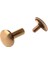 10X Ark Katı Br Saplamalı Vida Çivi Vida Geri Leatr Perçin Kemer 12MM (Yurt Dışından) 4