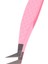 PEMBE-4A Sahte Kirpik Uzantıları Için Cımbız Fiber Ipuçları Bireysel Kavisli Şerit Kirpikler Kaş Saç Klip Maşa Tırnak Sanat Makyaj Aracı Logo (Yurt Dışından) 4