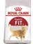 Fit 32 Yetişkin Kedi Maması 15 kg 1
