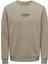 Erkek Sweatshirt Açık Haki 22027894 Onscelebrıty Reg Crew Neck 3