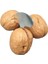 Kabuk Açıcı 4 Adet Cokytoop 1-4 Adet/takım Mini Fındık Kraker Paslanmaz Çelik Macadamia Ceviz Açacağı Taşınabilir Kamp Mutfak Aksesuarları Somun Araçları (Yurt Dışından) 5
