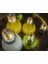 500ML 100/200/300/500 ml Yaratıcılık Yaz Ampul Su Şişesi Kısa Sevimli Süt Suyu Ampuller Bardak Sızdırmaz Öğrenci Hediye Drinkware (Yurt Dışından) 4