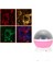 Night Light For Kids, Kitty Kids Projection Lamp Nebula Star Projector 360 Degree Rotation With USB Cable, Romantic Gifts For Men Women（pink) (Yurt Dışından) 1
