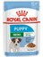 6 Adet Royal Canin Mini Puppy Pouch 85 gr 1