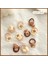 B 10 Adet/takım Kızlar Sevimli Çiçekler Küçük Ayı Lastik Bantlar Elastik Saç Bantları Çocuklar At Kuyruğu Tutucu Scrunchie Moda Saç Aksesuarları (Yurt Dışından) 1