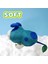 2023 Yeni Pikmin Peluş - Hayranlar Için Oatchi Peluş Oyuncaklar - Buz, Kaya, Mavi ve Mor Pikmin Peluşlar - Çocuklar Için Peluş Oyuncak Yastıklar - Erkek ve Kız Çocukları Için Sevim (Yurt Dışından) 4