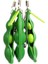 3 Paket Edamame Anahtarlık Oyuncaklar Anahtarlık Bezelye Anahtarlık Soya Fasulyesi Oyuncaklar Hediye Dekompresyon Bezelye Pod Anahtarlık (Yurt Dışından) 2