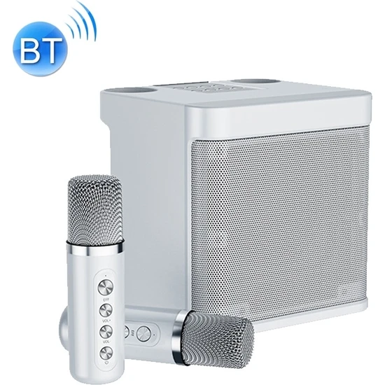 Weichuang Zsykd YS-203 Bluetooth Karaoke Hoparlör Kablosuz Mikrofon Gri (Yurt Dışından)