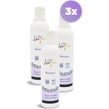 Laofix Organik Saç Bakım Şampuanı 250 ml x 3
