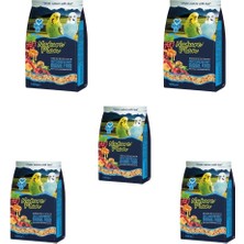 Nature Plan Meyve Aromalı Ballı Muhabbet  Yemi 1000 gr 5 Adet
