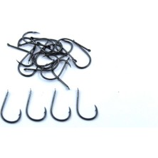 Fudo Chınu 1001 Chnu-Bn #10