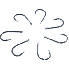 Fudo Sb-Chınu 2001 Sbch-Bn #2