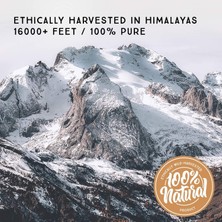 Pure Himalaya Shilajit 150 Porsiyon