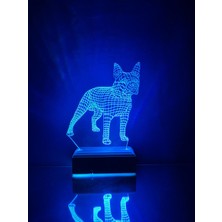 Modiwa Design Boston Terrier Köpek 3D 16 Renk Gece Lambası