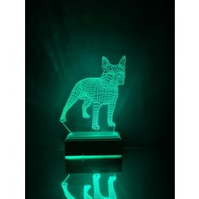 Modiwa Design Boston Terrier Köpek 3D 16 Renk Gece Lambası