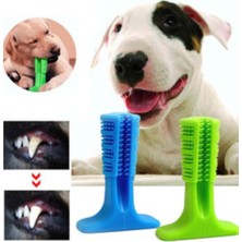 Trend Yaşam Köpek Diş Temizleyici ve Kaşıyıcı Sağlıklı Küçük Boy Oyuncak