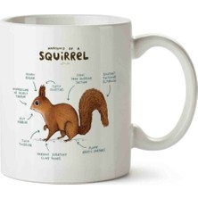 Kupacı Abla Sincap Anatomisi Squirrel Anatomy Baskılı Kupa