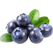 Murat Tohumculuk Murat Tohum Yaban Mersini Tohumu (Blueberry) Tohumu 10 Adet Tohum