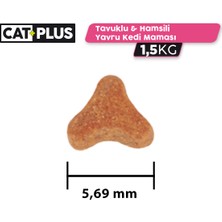 Catplus Tavuklu Hamsili Yavru Kedi Maması 1,5 kg x 3 Adet
