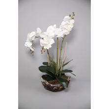 Kibrithane Çiçek Yapay Çiçek 3'lü Kumaş Orkide Eskitme Beton Saksıda KC00220530