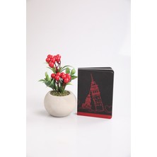 Kibrithane Çiçek Özel Gün Konsepti Kokina ve Tasarım Defter KCS0420064