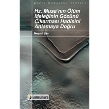 Hz. Musa'nın Ölüm Meleğinin Gözünün Çıkarması Hadisini Anlamaya Doğru - Necmi Sarı