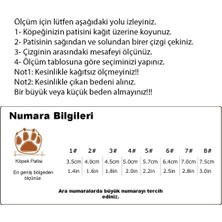 True Love Suya Dayanıklı, Nefes Alabilen, Turuncu Köpek Ayakkabısı