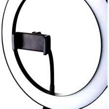 CoverZone LED Işıklı Halka 13 Inch Selfie yayıncı makyaj Işığı 210 cm Tripod
