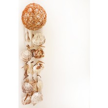 Ağaç Dalı Dünya Sarkaç-Placuna Kabuklu