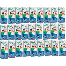 Pınar Çocuk Devam Sütü 200 ml 27 'li