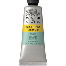Winsor & Newton Galeria Akrilik Boya 60 ml Pale Olive 435