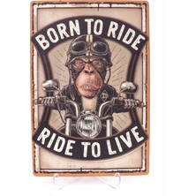 Lotis Born To Ride  Kutusu