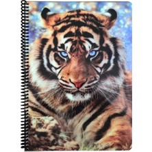 Fly Color Art Style Kareli Plastik Kapaklı Spiralli Defter