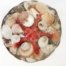 Sepet Içi Kabuk-10"