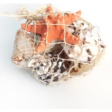 File Sepet Kabuk-Küçük