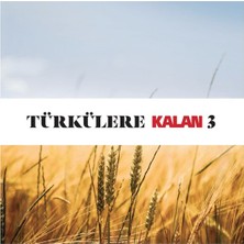 Türkülere Kalan 3 - Çeşitli Sanatçılar - 2 CD