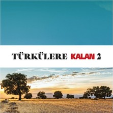 Türkülere Kalan 2 - Çeşitli Sanatçılar - 2 CD