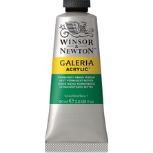 Winsor & Newton Galeria Akrilik Boya 60 ml Permanent Green Middle 484