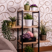 Mudesa Saksı Standı 4 Katlı Saksılık Çiçeklik Çok Katlı Dekoratif Raf