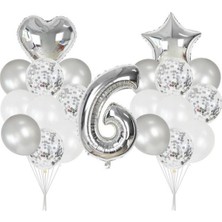 Parti Furyası 6 Yaş Gümüş balon Seti