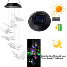 Exeo Kelebek Motif Dekoratif Bahçe Balkon Süsleme Solar LED