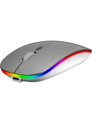 Everest SMW-306R Gümüş 1600DPI Şarjlı Kablosuz Mouse Rgb Mouse