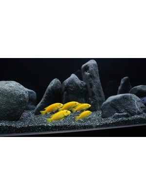 Akvaryum Kumu Bazalt 25 kg  (1-3 Mm) - (2-4 Mm) Bitki Kumu + 1 kg Kuvars Hediye