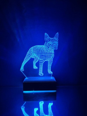 Modiwa Design Boston Terrier Köpek 3D 16 Renk Gece Lambası