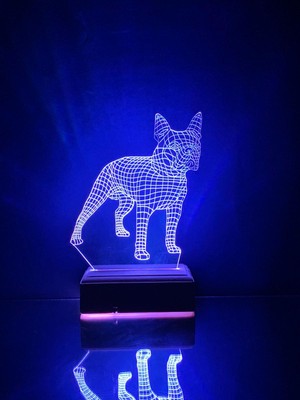 Modiwa Design Boston Terrier Köpek 3D 16 Renk Gece Lambası